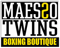 Logo Maesso Twins